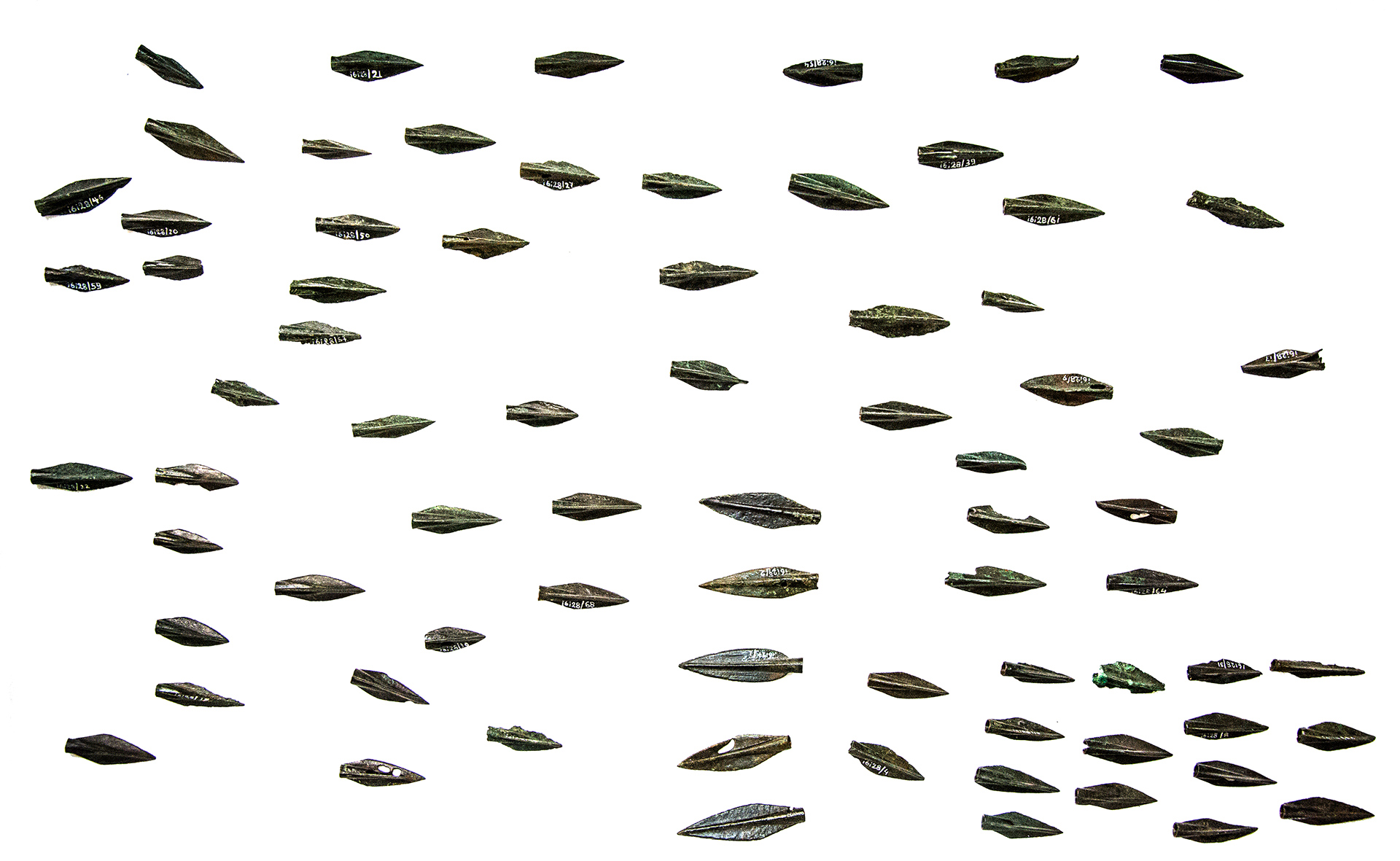 this is an image